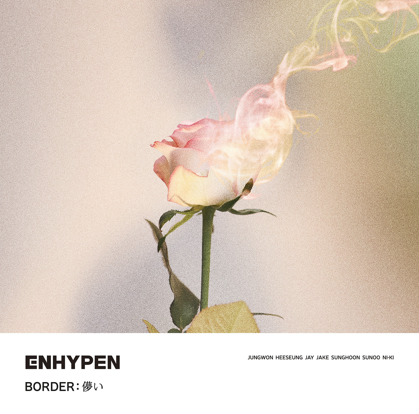 ENHYPEN BORDER : 儚い ジェイク weverse ラキドロ ENHYPEN OFFICIAL SITE | NEWS | 日本デビューシングル『BORDER : 儚い